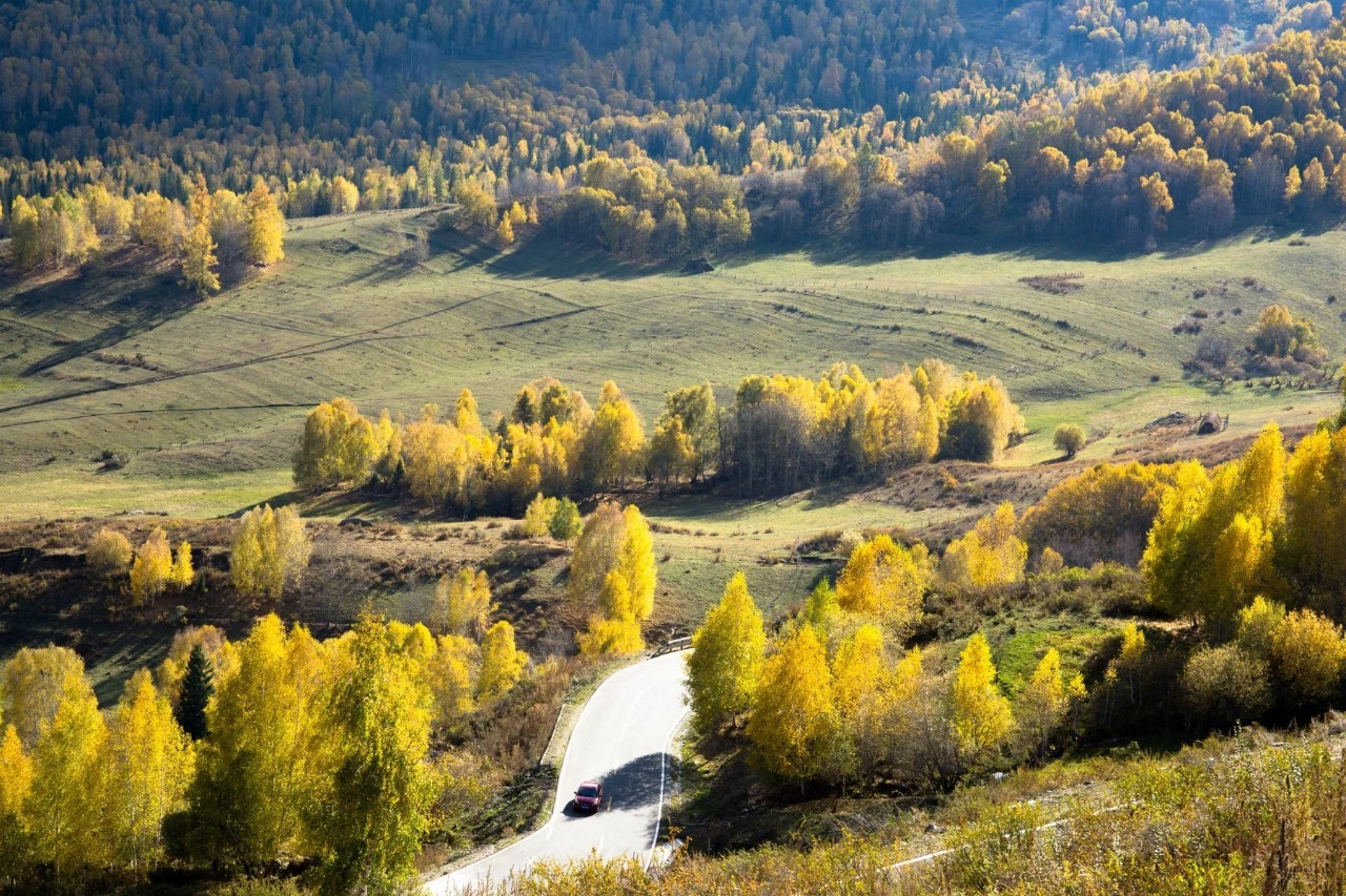 新疆，梦想起航之地，学习照亮自信之路
